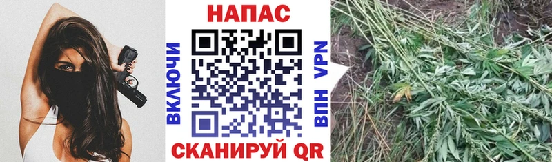 Где купить Кропоткин COCAIN  Гашиш  АМФЕТАМИН  Канабис 
