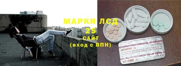 стаф Алексин