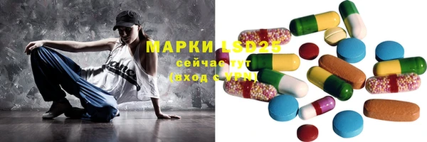 стаф Алексин