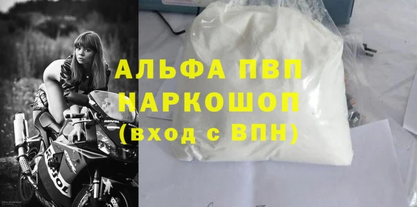 стаф Алексин