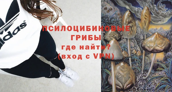 СК Алексеевка