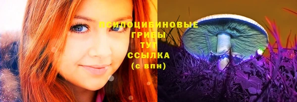 СК Алексеевка