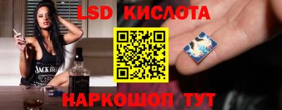 прущие грибы Краснокаменск