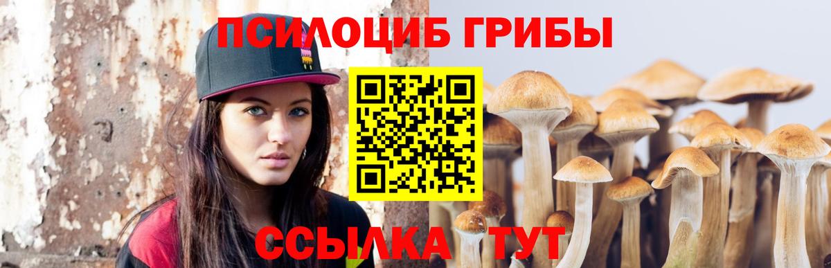 Кропоткин  купить наркотик  Вход с VPN  Псилоцибиновые грибы GOLDEN TEACHER  Псилоцибиновые грибы Psilocybine cubensis 